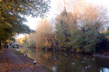 The site of Whichellos Wharf looking towards Leighton Road October 2008